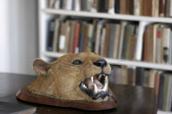 Restoration of Hemingway's residence in Cuba complete