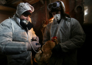 Russia Bird Flu Near Moscow