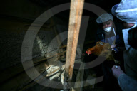 Russia Bird Flu Near Moscow