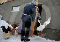 Russia Bird Flu Near Moscow