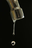 Water week