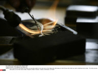 FRANCE: The Making of the Palme d'Or