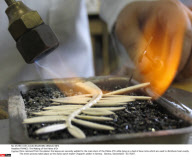 FRANCE: The Making of the Palme d'Or