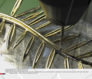 FRANCE: The Making of the Palme d'Or