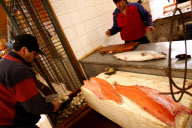 Chile Salmon Production