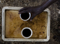 Ethiopia Local Coffees