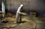 Ethiopia Local Coffees
