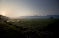 Bangladesh The India-Bangladesh Border Fence