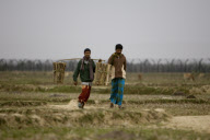 India The India-Bangladesh Border Fence