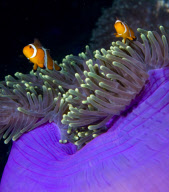 Tourism attractions in Western Thailand