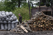 Poland Traditional Charcoal Production