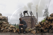 Poland Traditional Charcoal Production