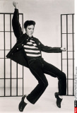 RETRO: ELVIS PRESLEY                      JAILHOUSE ROCK (LE ROCK DU BAGNE)