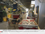 DENMARK : 75 years of LEGO