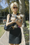 Heiress PARIS HILTON and one of her dogs shopping for dog supplies at Petco