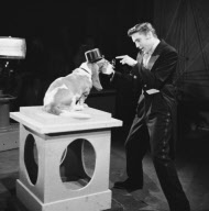 Elvis Presley stars in The Steve Allen Show