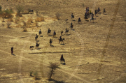 Chad Sudan's Internally Displaced Persons