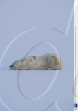 Canada - 2007