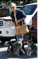 EXCL.: Actress KATHERINE HEIGL taking her four dogs Weezer, Stella, Romeo, and Piper to the groomer