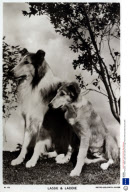 Various Postcards - 1900s