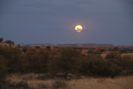 Chambers Pillar In Outback Australia