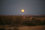 Chambers Pillar In Outback Australia