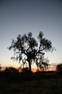 Chambers Pillar In Outback Australia