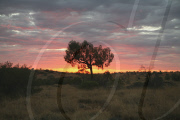 Chambers Pillar In Outback Australia