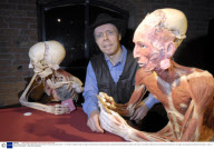 Body Worlds 4 exhibition. Manchester Museum of Science and Industry. Manchester, Britain - 21 Feb 2008
