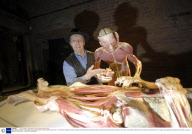 Body Worlds 4 exhibition. Manchester Museum of Science and Industry. Manchester, Britain - 21 Feb 2008