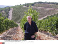 TUSCANY: Wine producers and their vineyards
