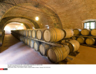 TUSCANY: Wine producers and their vineyards
