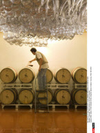 TUSCANY: Wine producers and their vineyards