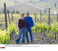 TUSCANY: Wine producers and their vineyards