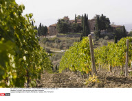 TUSCANY: Wine producers and their vineyards
