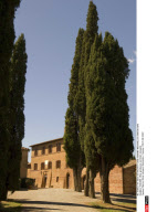 TUSCANY: Wine producers and their vineyards