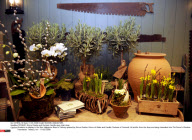 TETBURY: Prince Charles and Duchess Camilla open their shop