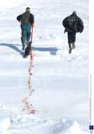Annual Seal Hunt in Canada - 29 Mar 2008