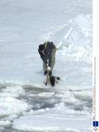 Annual Seal Hunt in Canada - 29 Mar 2008
