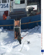 The Annual Canadian Seal hunt, Canada - 30 Mar 2008
