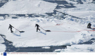 The Annual Canadian Seal hunt, Canada - 30 Mar 2008