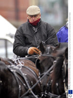 Prince Philip carriage driving after his recent bout of ill health, Windsor, Britain - 21 Apr 2008