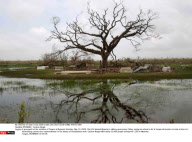 MYANMAR : Cyclone Nargis
