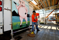 USA World Barbeque Championship