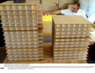 FRANCE: Incense paper factory established 1885