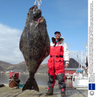 Angler Soren Beck Who Caught a 31 Stone Halibut Off the Norwegian Coast - May 2008