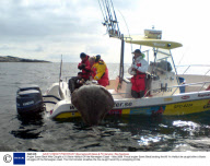 Angler Soren Beck Who Caught a 31 Stone Halibut Off the Norwegian Coast - May 2008
