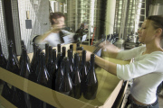 Champagne Growing France