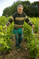 Champagne Growing France