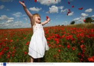Poppy field near Cambridge, Britain - 06 Jul 2008